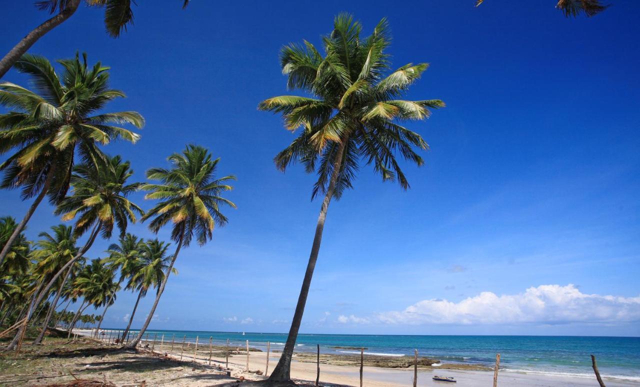 Flat Super Luxo Carneiros Beach Resort Tamandaré エクステリア 写真